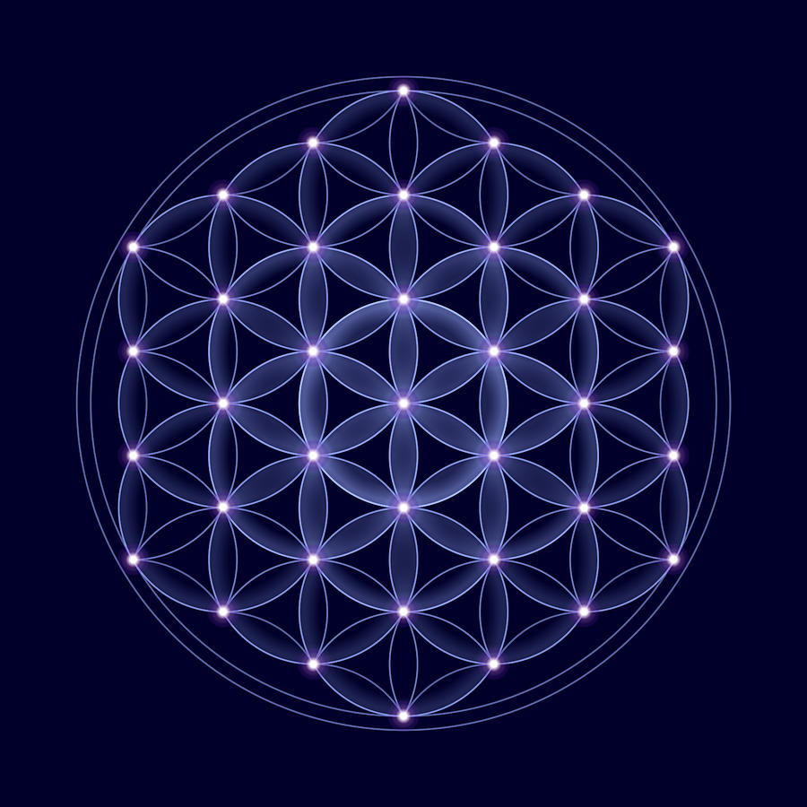 Flower of Life Geometric Symbol